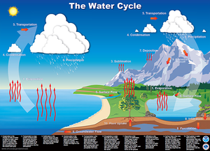 NOAA Water Cycle